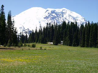 Mt. Rainier looms over Grand Park