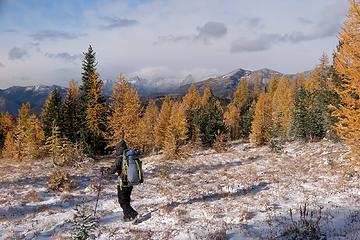 Hiking out across the meadow