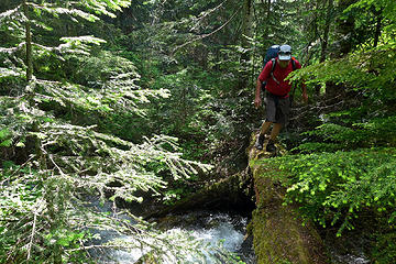 Log crossing at Crawford Creek, about 200 feet upstream of trail