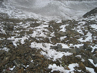 Ptarmigans?