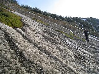 amazing hoarfrost (i think)