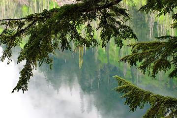 find the lichen. 
Repeated imagery. 
Goat Lake hike, mtn loop Highway, WA, 6/19