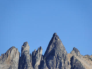 Zoom of the needles.