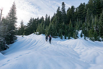 Continuing up the old logging road toward the pass