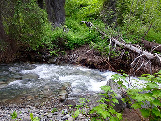 The trail crosses the North Fork Wolf Ck just after the gate.