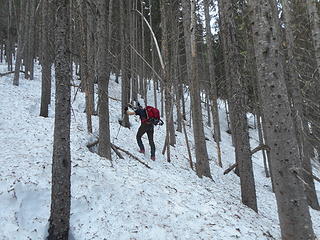 Neil ascending the forested slope
