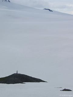 Harding Icefield hike, Seward (2)