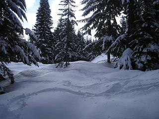 Snoqualmie Snow