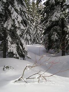 Nordic Pass trail