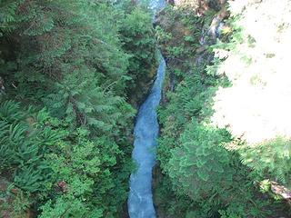 Hoh river gorge