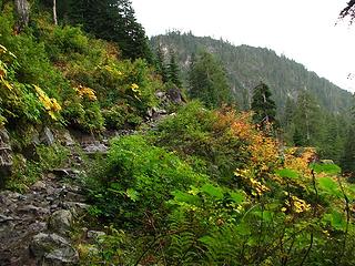 Not even one of the worst rocky sections.  Open area means you are almost at the lake