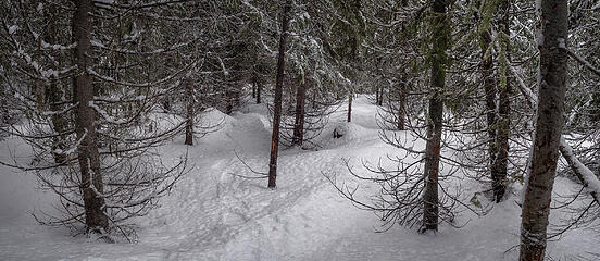 Just wandering up lower slopes of S. Rampart-Dungeon ridge