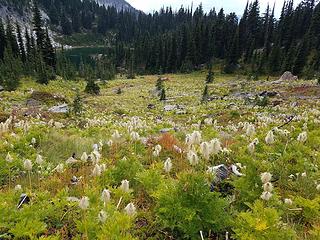 The lower slopes approaching the lake.