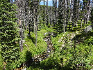 Tom Beal Creek.