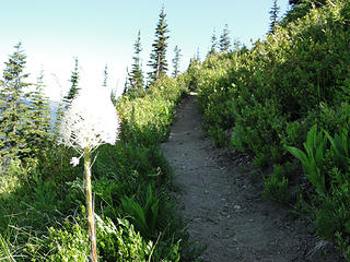 Crystal Peak trail.