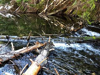 Twin Lakes Trail 5/3/19