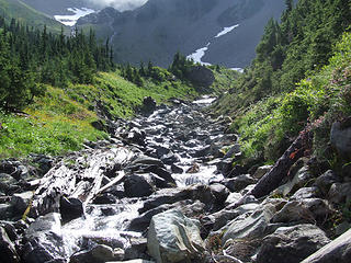 view toward headwaters of White Creek