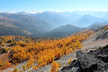 Larches and peaks stretching southward