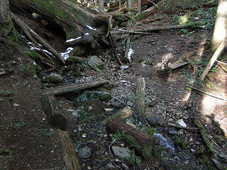 The Creek at the start of the upper Talus loop.