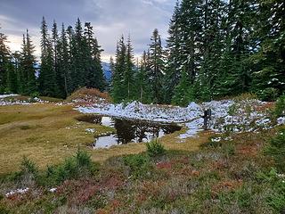 Heart tarn