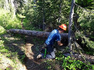 Bucking logs on the Mount Misery trail to Oregon Butte. We logged out 13 miles clearing 113 trees.