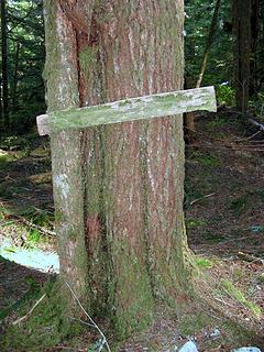 Middle Fork Trail Sign