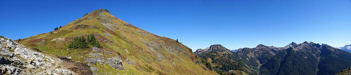 Yellow Aster Butte