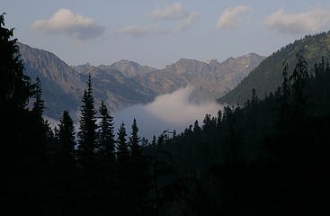 The Dose River Valley, Olympic National Park, Washington.