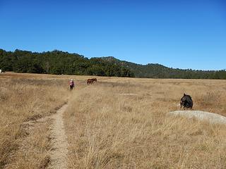 permit ambush valley