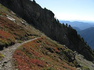 Trail just below Tin Can Gap