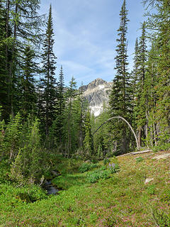 Choral Peak through the tress from Upper Entiat Basin.