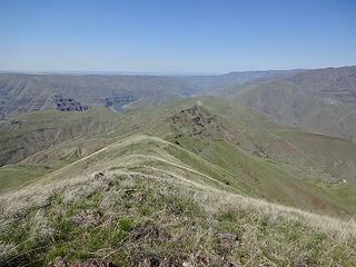 There is one more peak called Lime Hill to do on this ridge but I'll save that for another trip later. It's the rounded bump after the point with a steep east face. Views of the confluence of the Grande Ronde and Snake are said to be good from there.