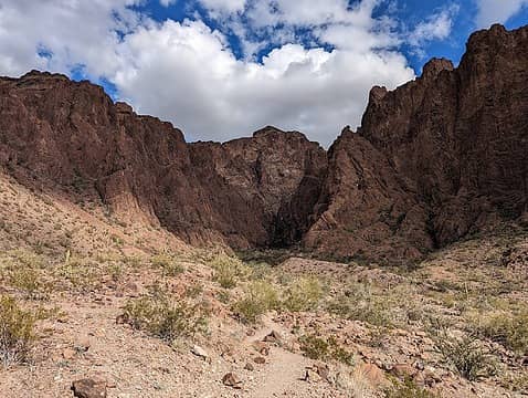 Start of Palm Canyon trail