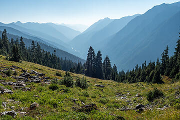 hazy quinault valley