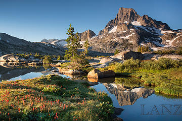 Paintbrush and Mt. Banner