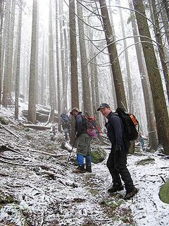 Track to Stone Lake