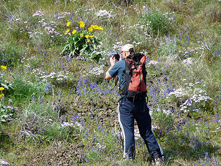 Kyle enjoying the wildflower swathes.