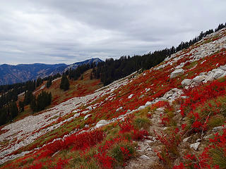 Slopes of Mallard Peak.