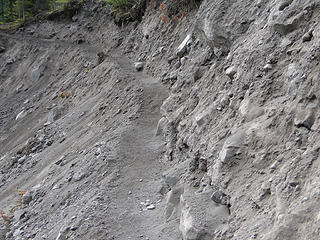 Narrow trail across river on Emmons Moraine trail.