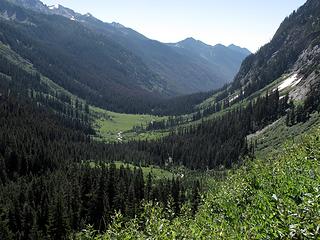 Spider Meadow from trail to Larch Knob