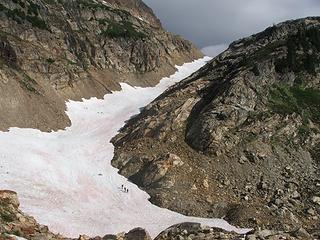 Spider "Glacier"