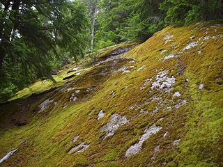 lichened boulders