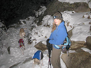 Babe and her doggie entourage