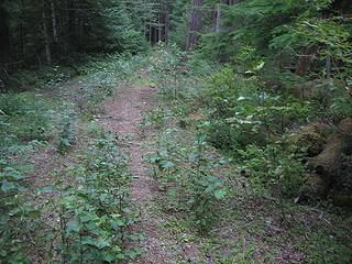 Sulphur Creek Campgrounds Road