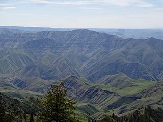 Mt Wilson. I hiked over there a few weeks ago in The Chief Joseph Wildlife Area. This is the opposite side of The Snake and the Wash/Or border runs across the summit.