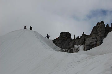 Climbers of various species