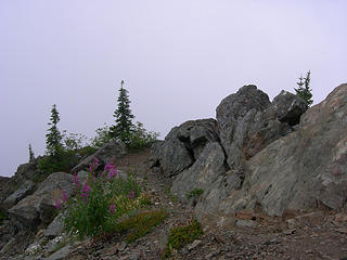 Summit-Mt Rainier is out ther somewhere