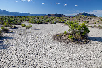 Beyond the playa, Oregon high desert tiles.