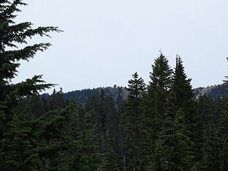 Tolmie lookout from far end of Mowich campground.