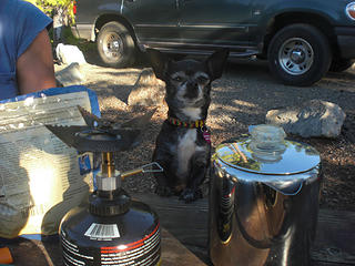 Boo is waiting for dinner to be ready.